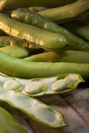 broad beans